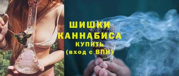 шишки Богданович